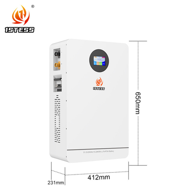 Bateria de armazenamento de energia para uso doméstico LiFePO4 de 51,2 V montada na parede